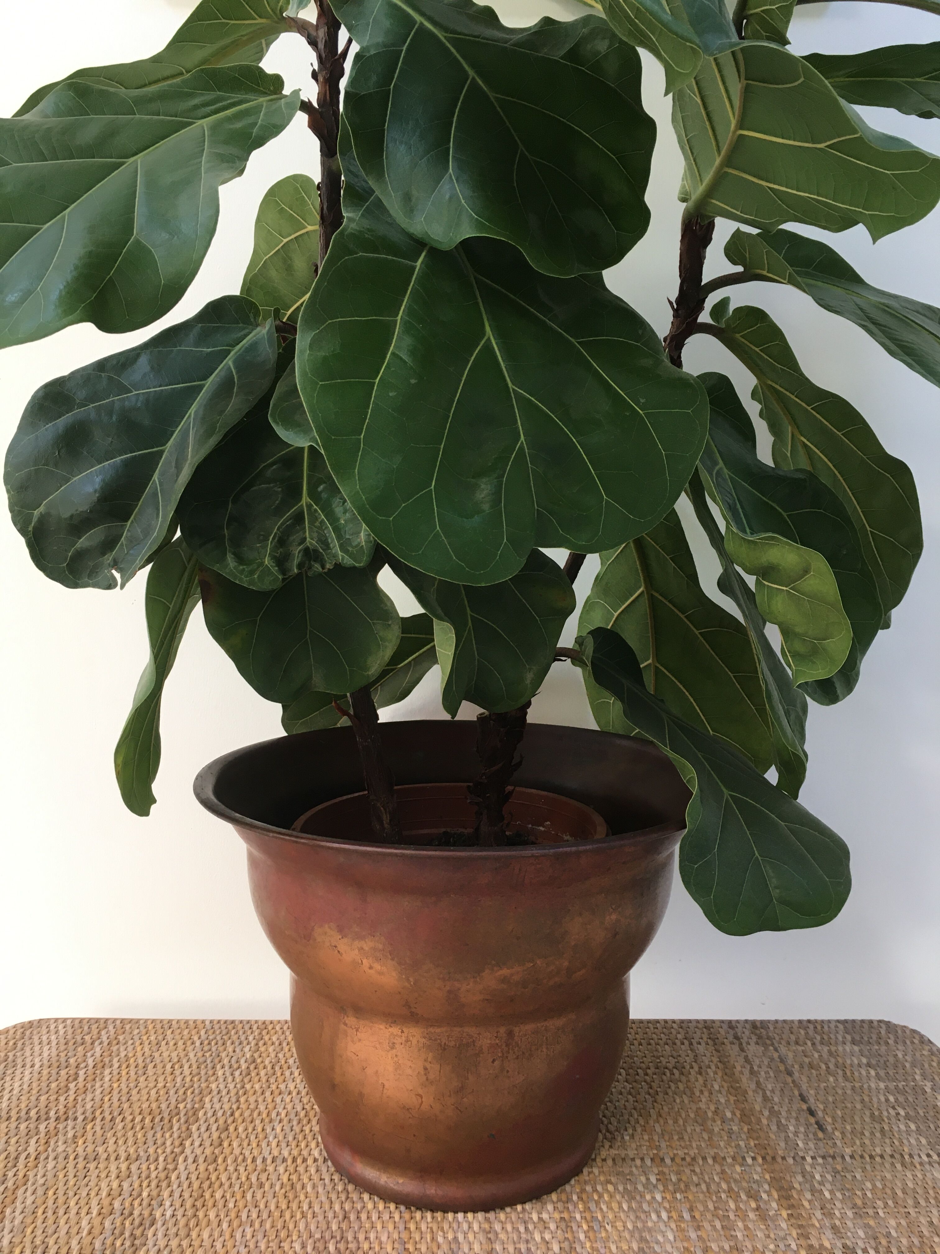 Cache-pot ancien en cuivre