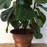 Old copper pot-cover