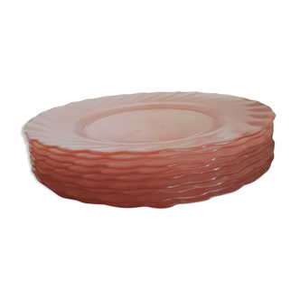 9 arcoroc plates