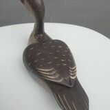 Painted wood-billed red-billed duck