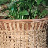 Rattan plant pot
