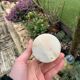 Vase soliflore en marbre blanc