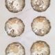 Coupes à glace ou sorbet sur pied, vintage, en inox 18/10 (ref20)