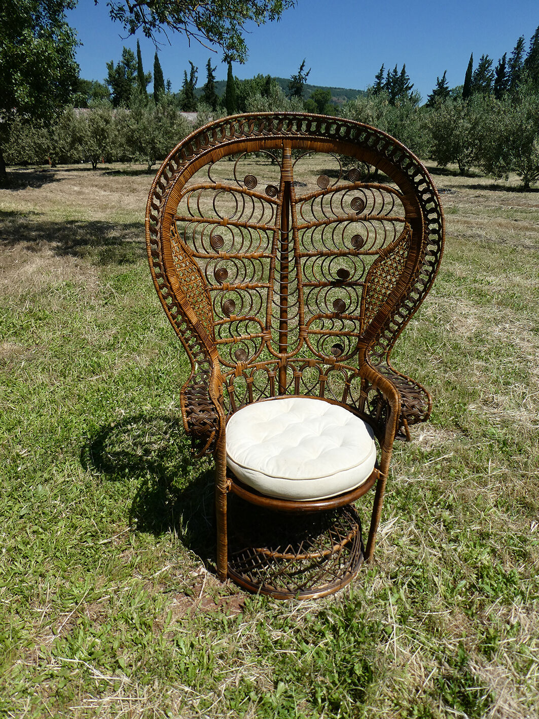 Emmanuelle peacock rattan chair