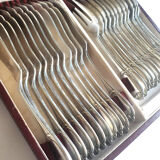 Fish set in silver metal Ercuis