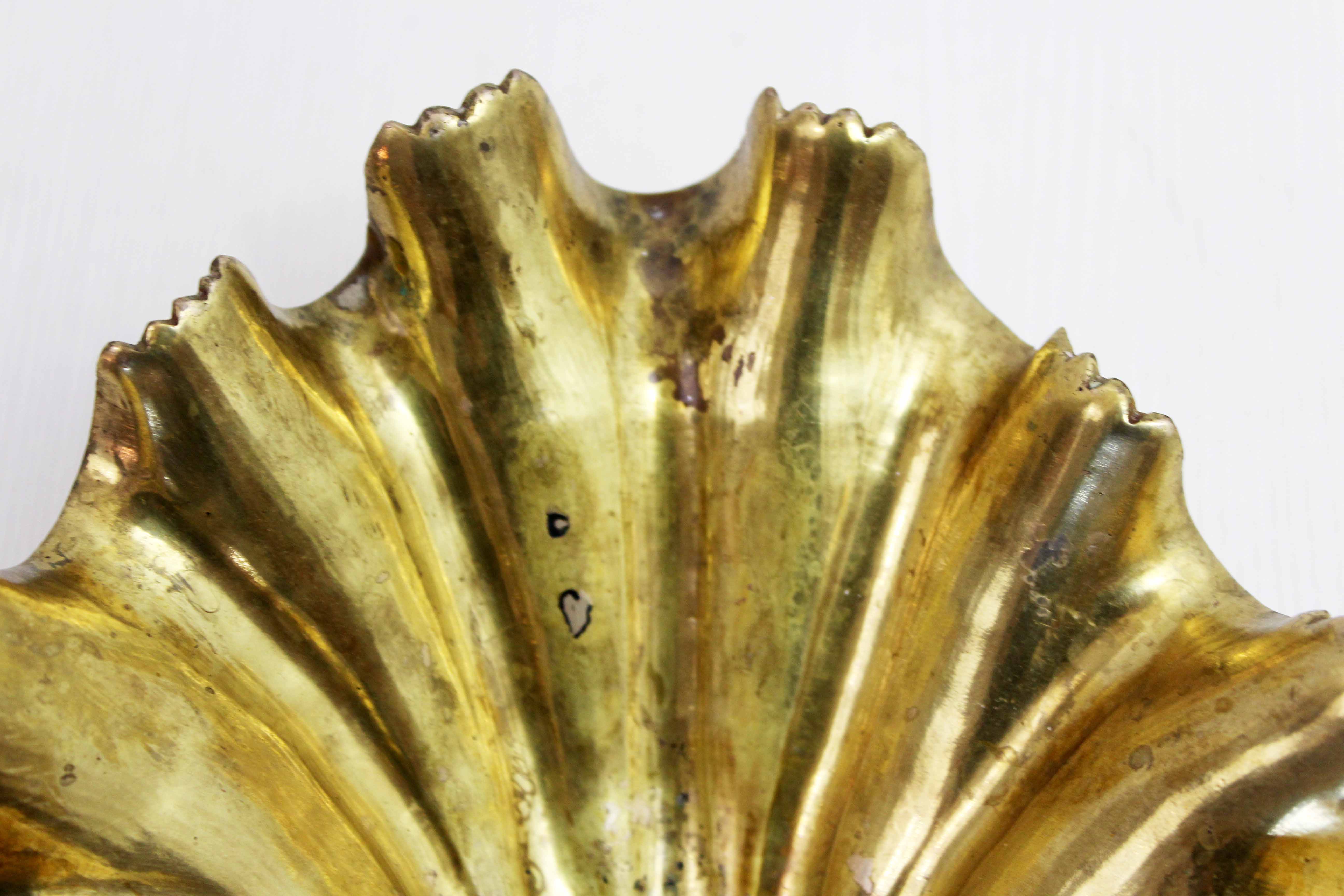 Empty brass "shell" pocket