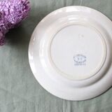 Samaritan ironstone plate