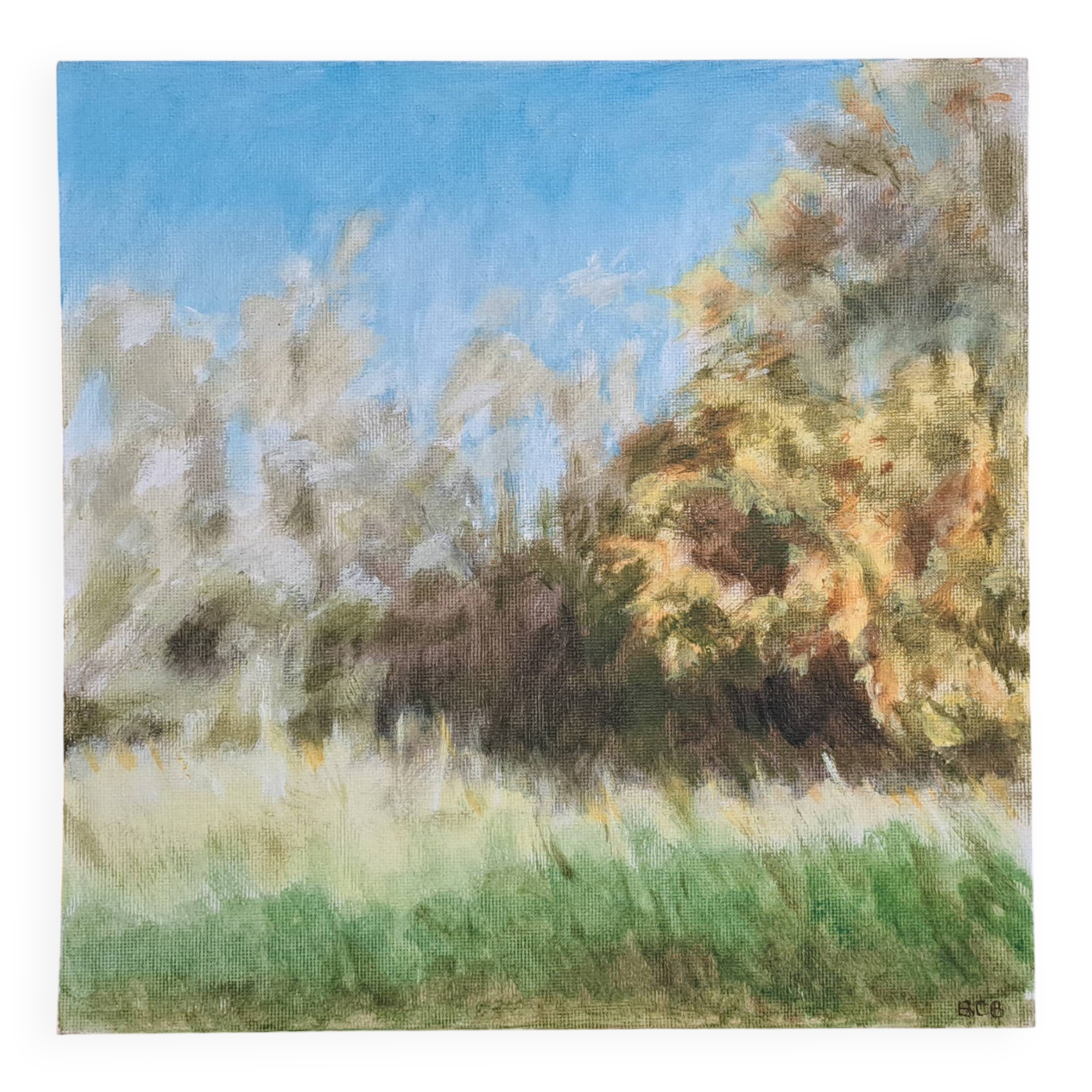 Paysage