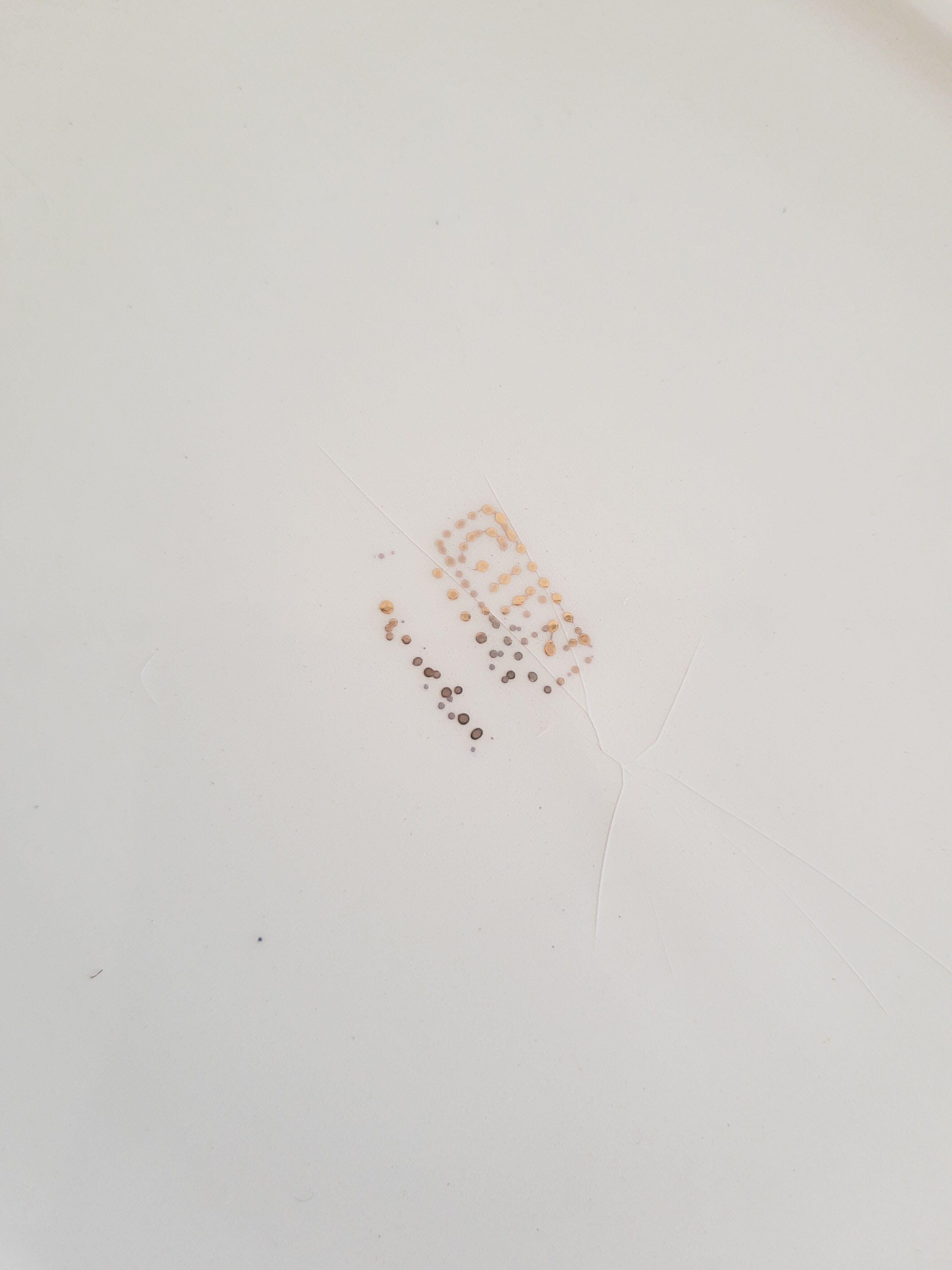 Large oval dish Gien model Floreal - vintage