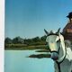 River crossing on horseback, on a sign by Campana.
