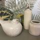 Ceramic bird