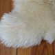 Sheep's skin