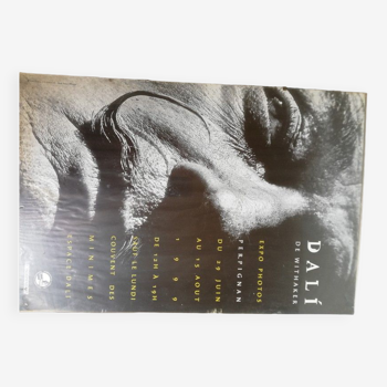 Salvador Dali poster photo 60/40 cm
