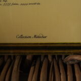 Pair of botanical boards collection metadier