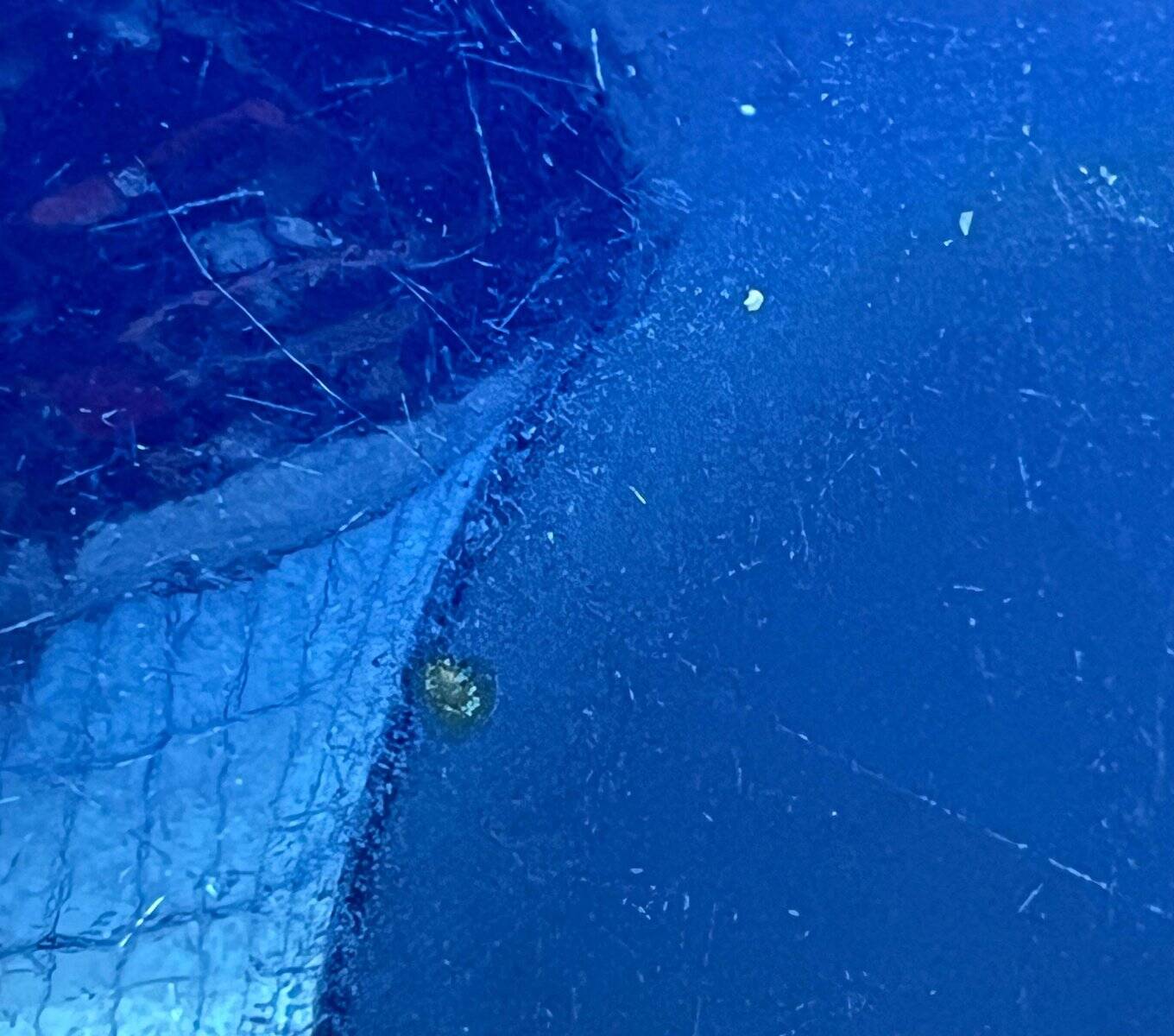 Modern blue enamel bowl from the mid-century by Kaj Franck for Finel, Finland, 1960s.