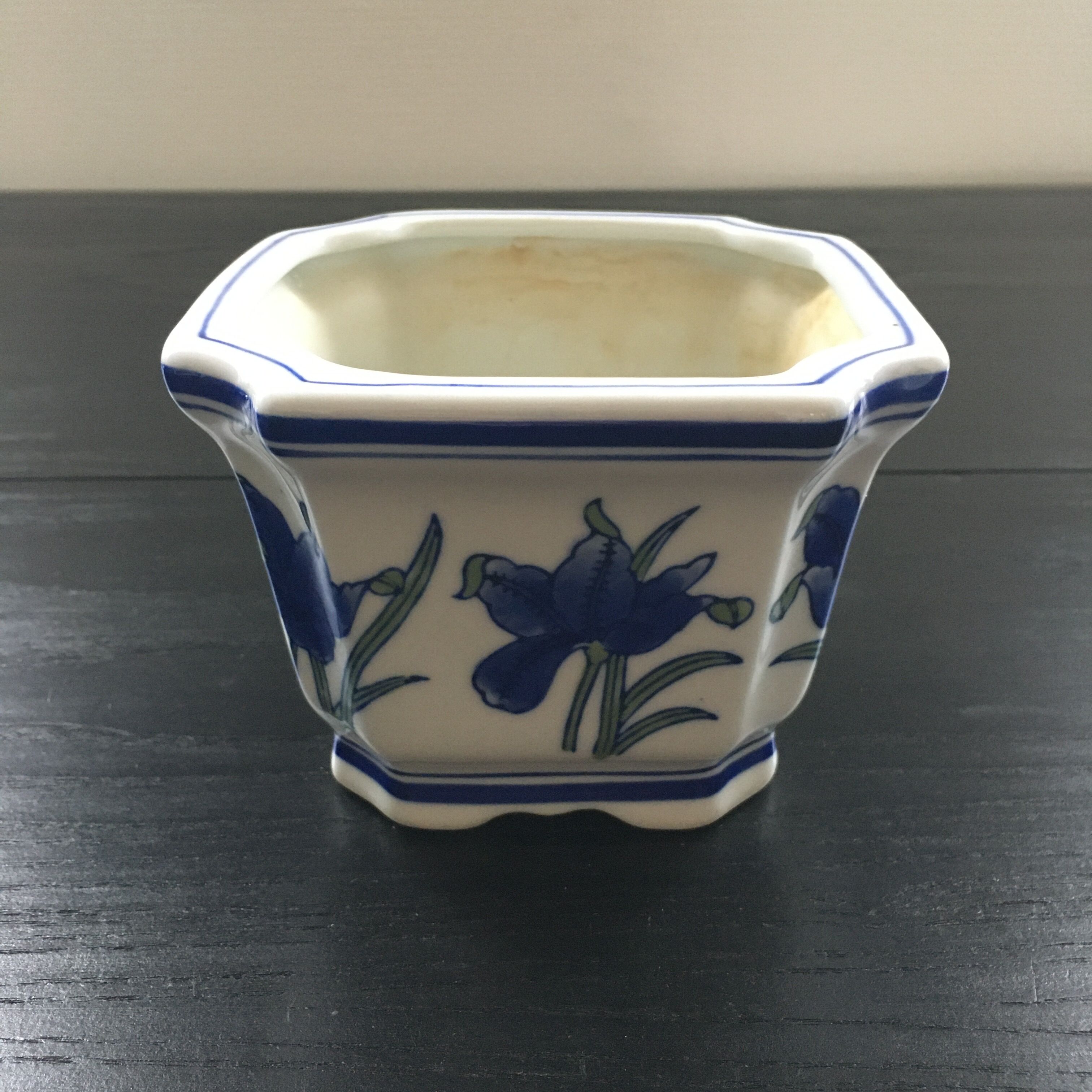 Blue iris pot cache.