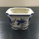 Blue iris pot cache.