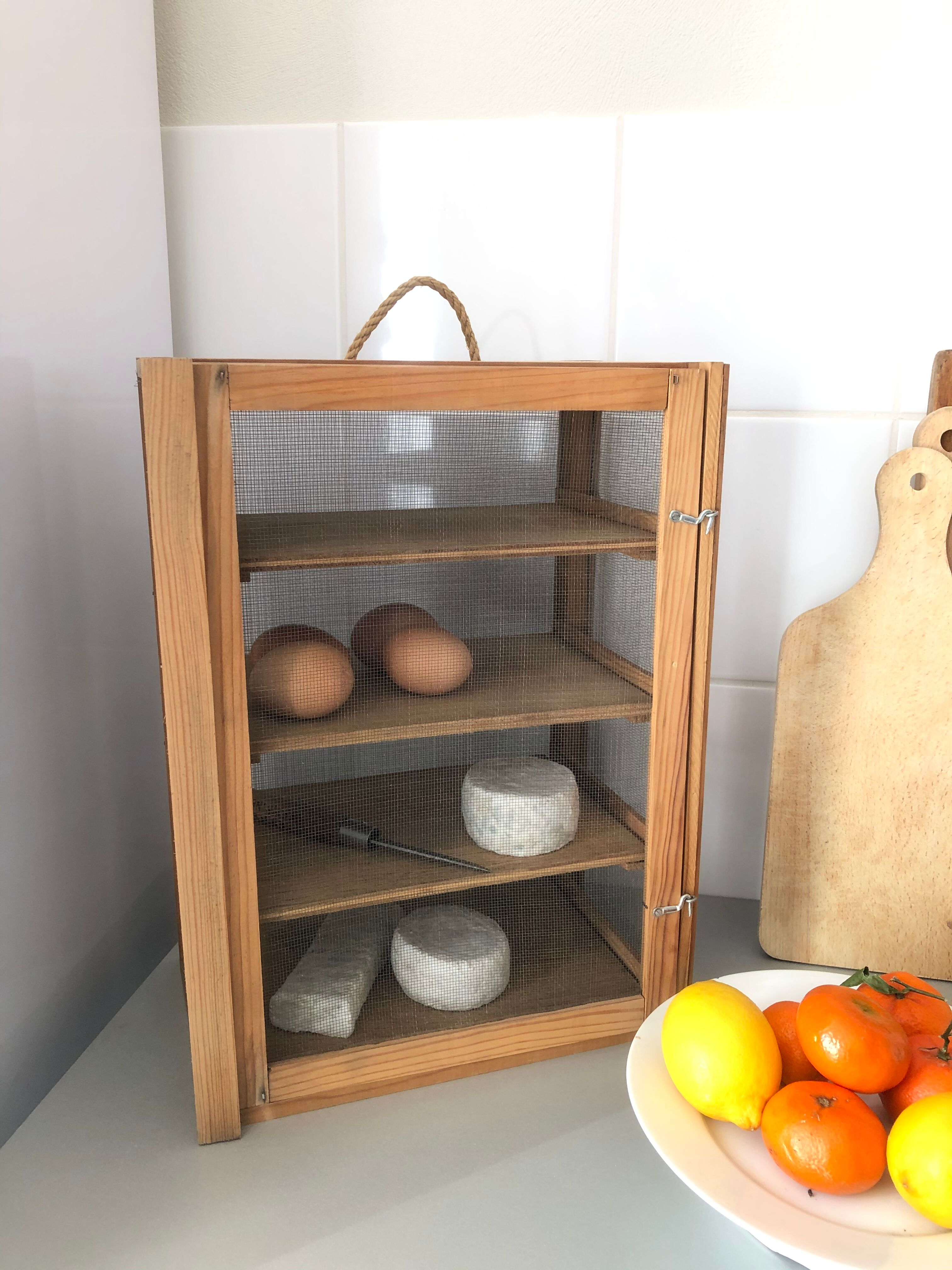 Old wood eating wareat