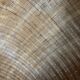 Panier rond en bambou asiatique