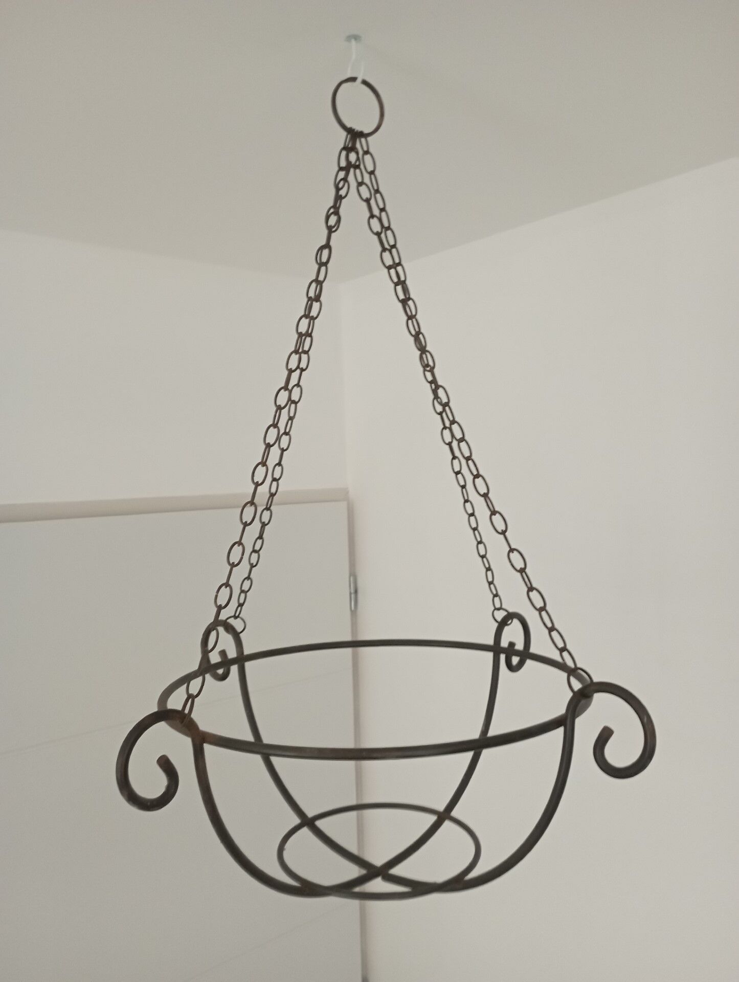 Hanging plant holder