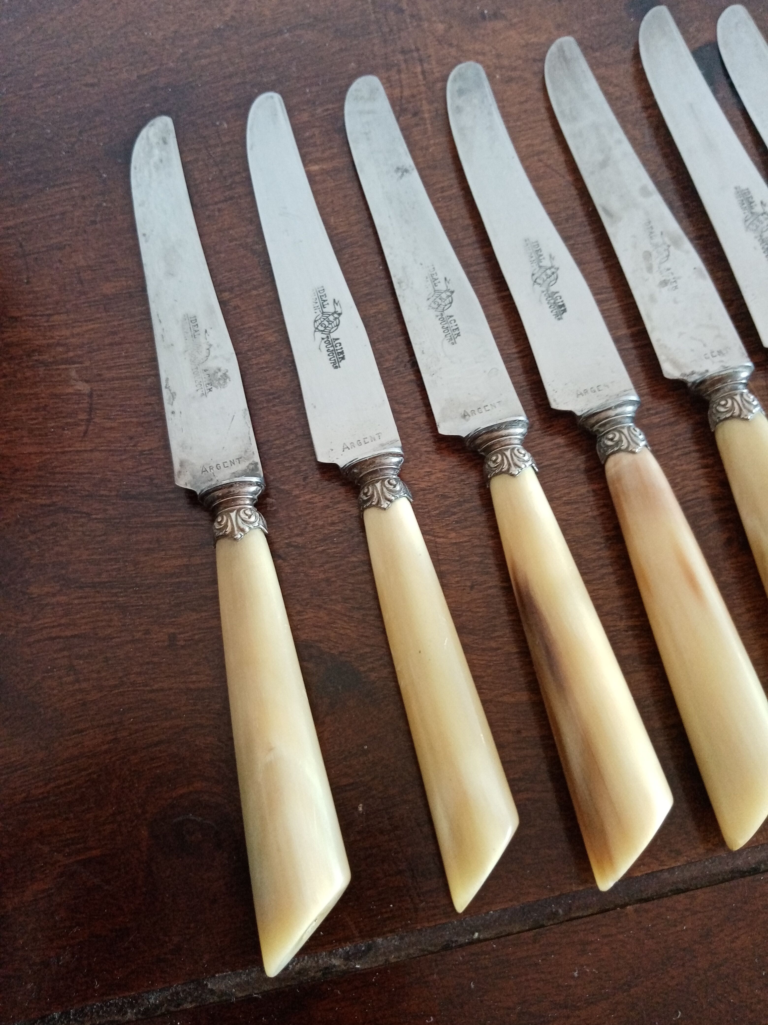 Suite 12 cheese knives dessert nineteenth horn handle