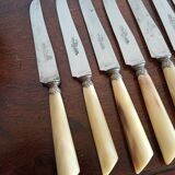 Suite 12 cheese knives dessert nineteenth horn handle