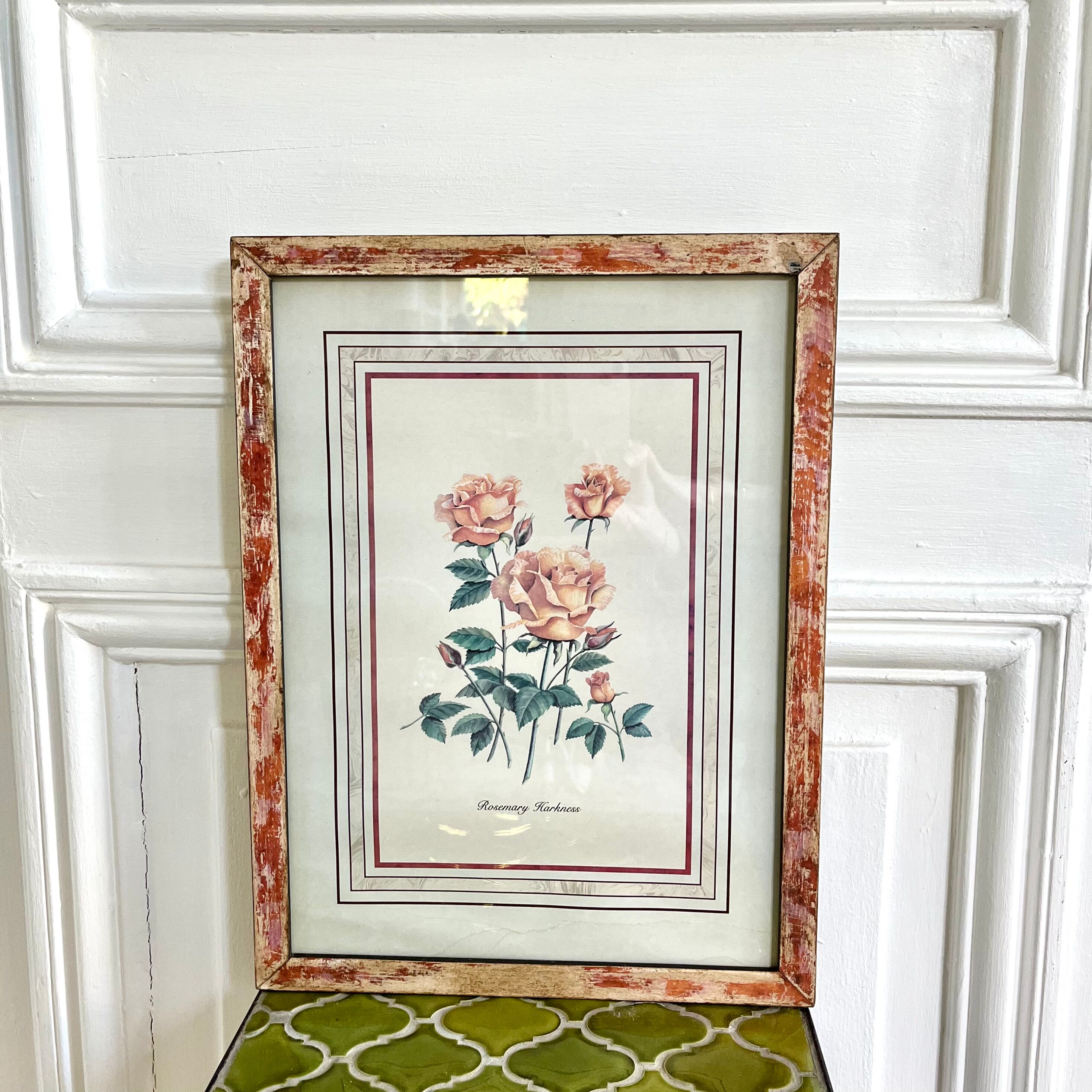 Botanical plate of roses under frame