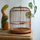 Ancienne cage à oiseaux