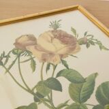 Vintage dreaded rose frame on fabric