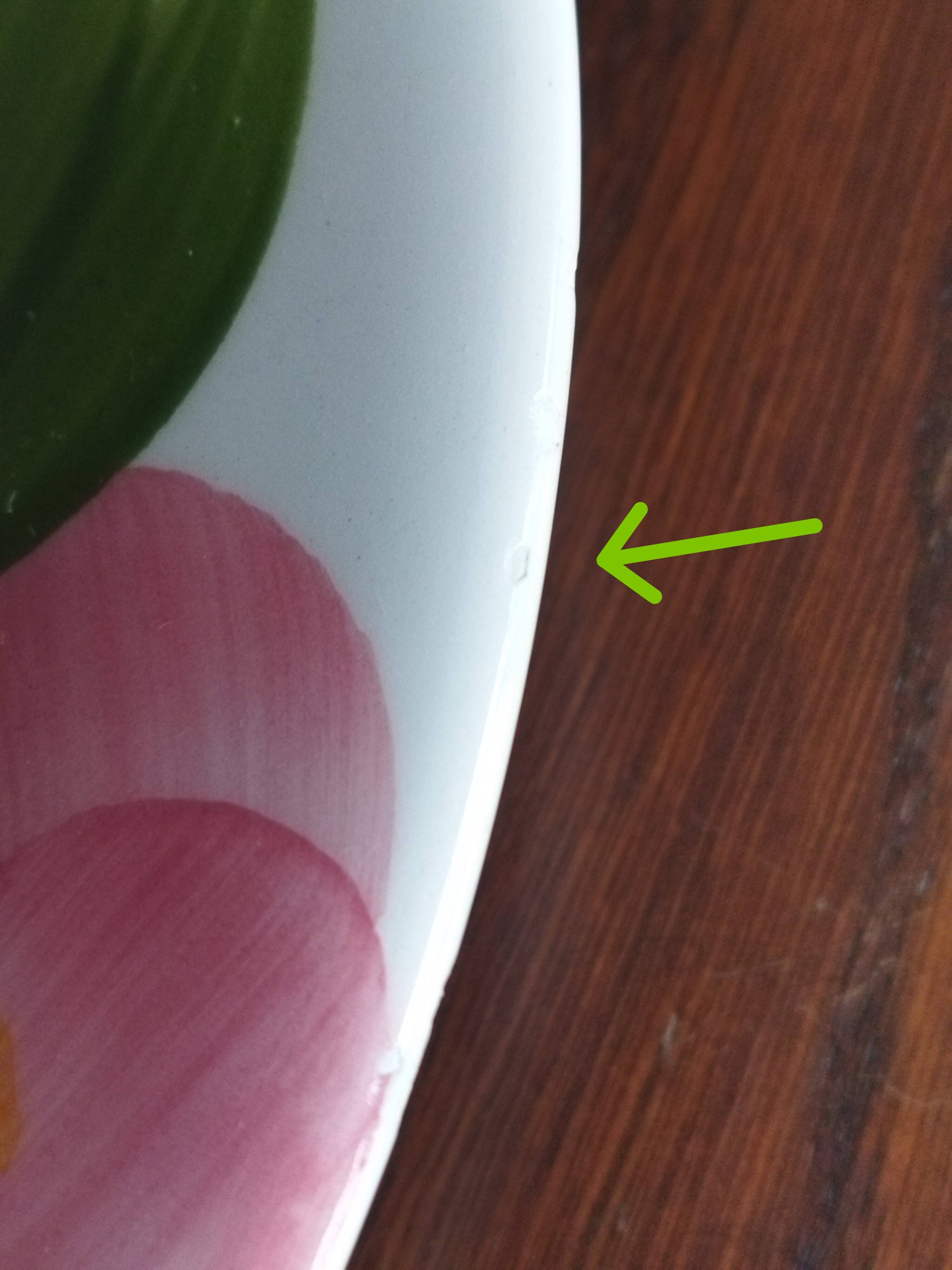 9 vintage San Marciano dinner plates