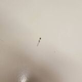 Ilse Möbel coffee table from the 1960s.