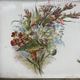 Service Plate WMF Jugendstil Art Nouveau Silver-Plated Galalithe Around 1905