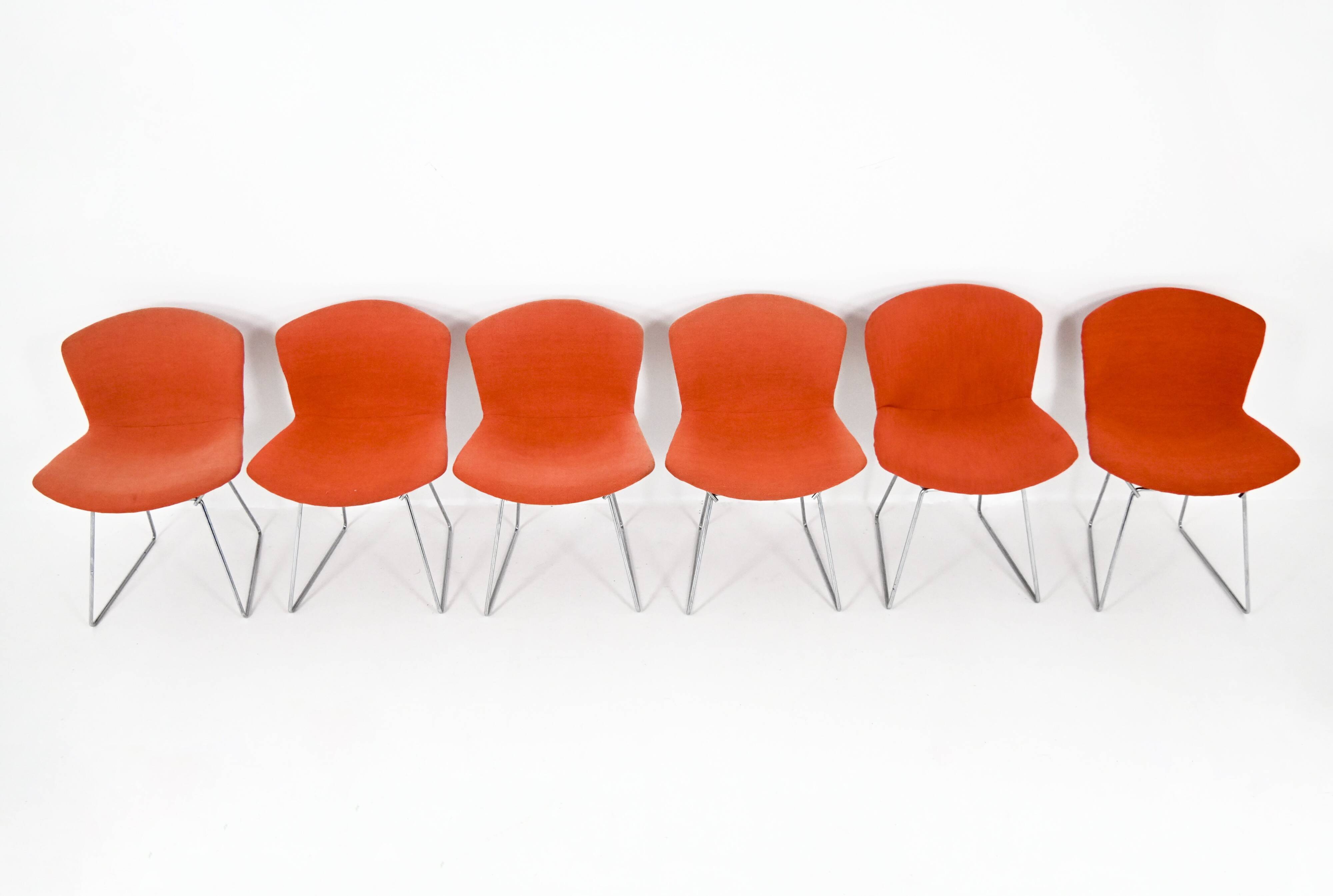 Set of 6 chairs by Harry Bertoia for Knoll, 1960s