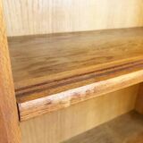 Vintage Scandinavian bookcase, 1960
