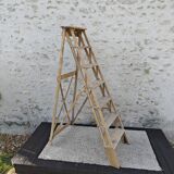 Large stepladder