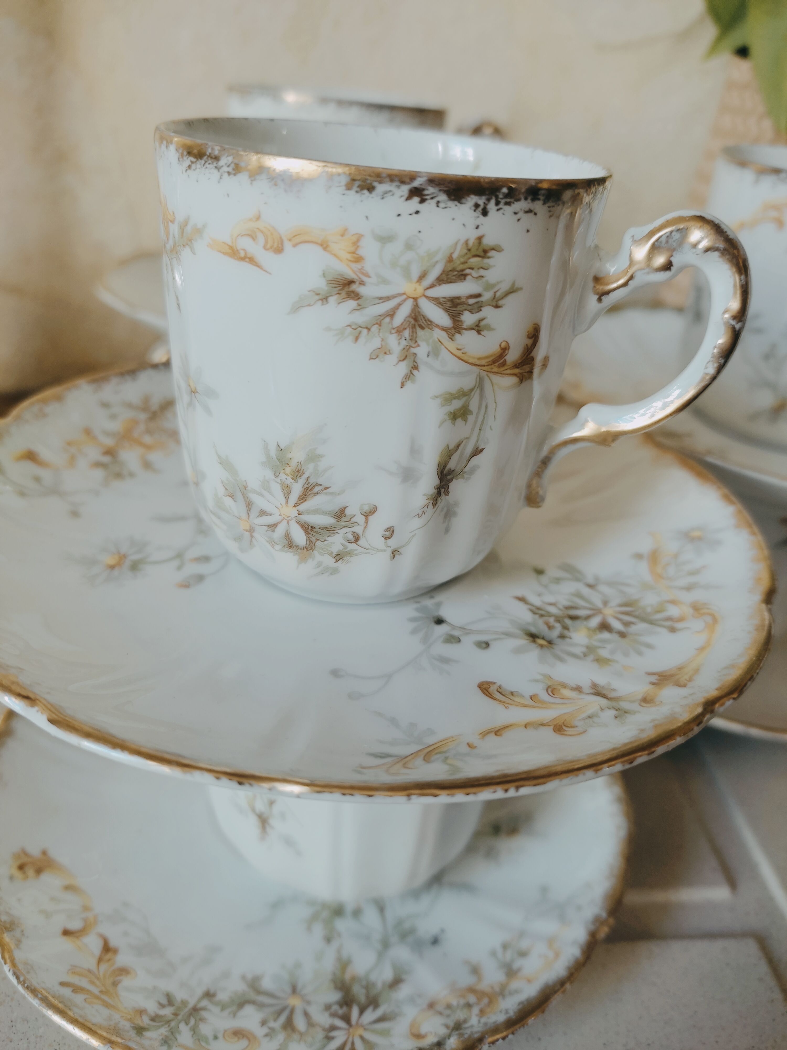 6 fine porcelain coffee cups