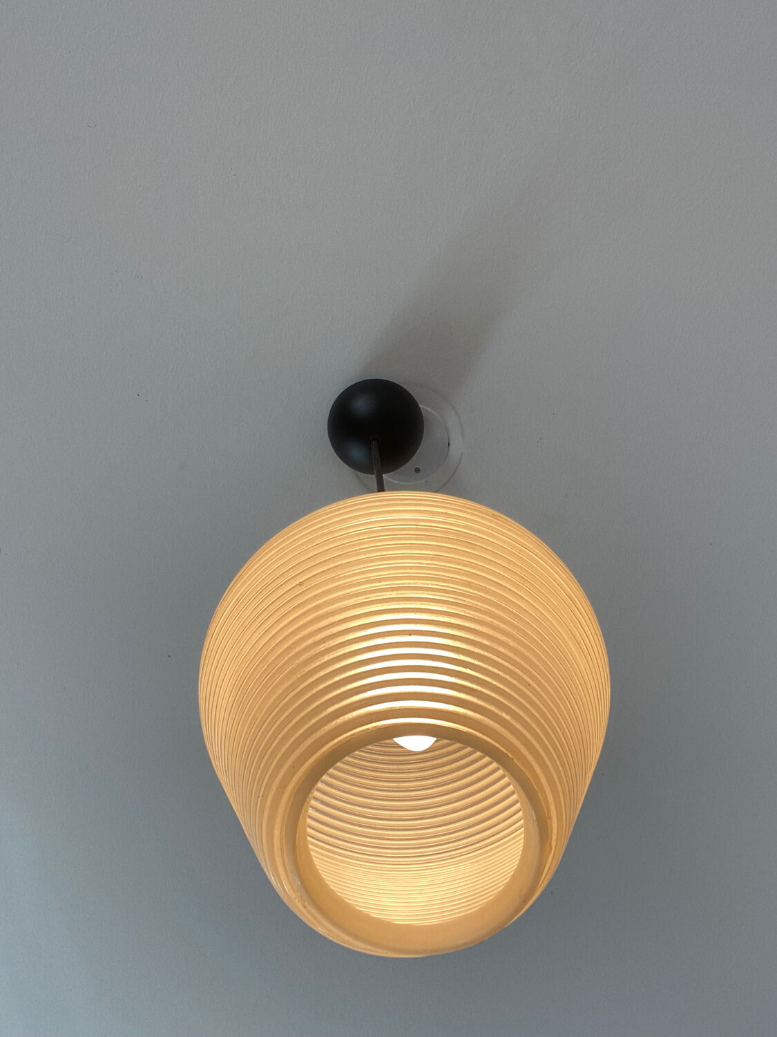 Rotaflex pendant light