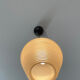 Rotaflex pendant light