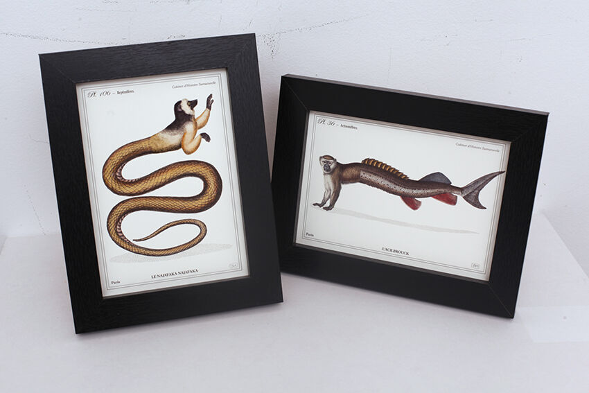 Set of 2 framed chimera lithograph animal engraving
