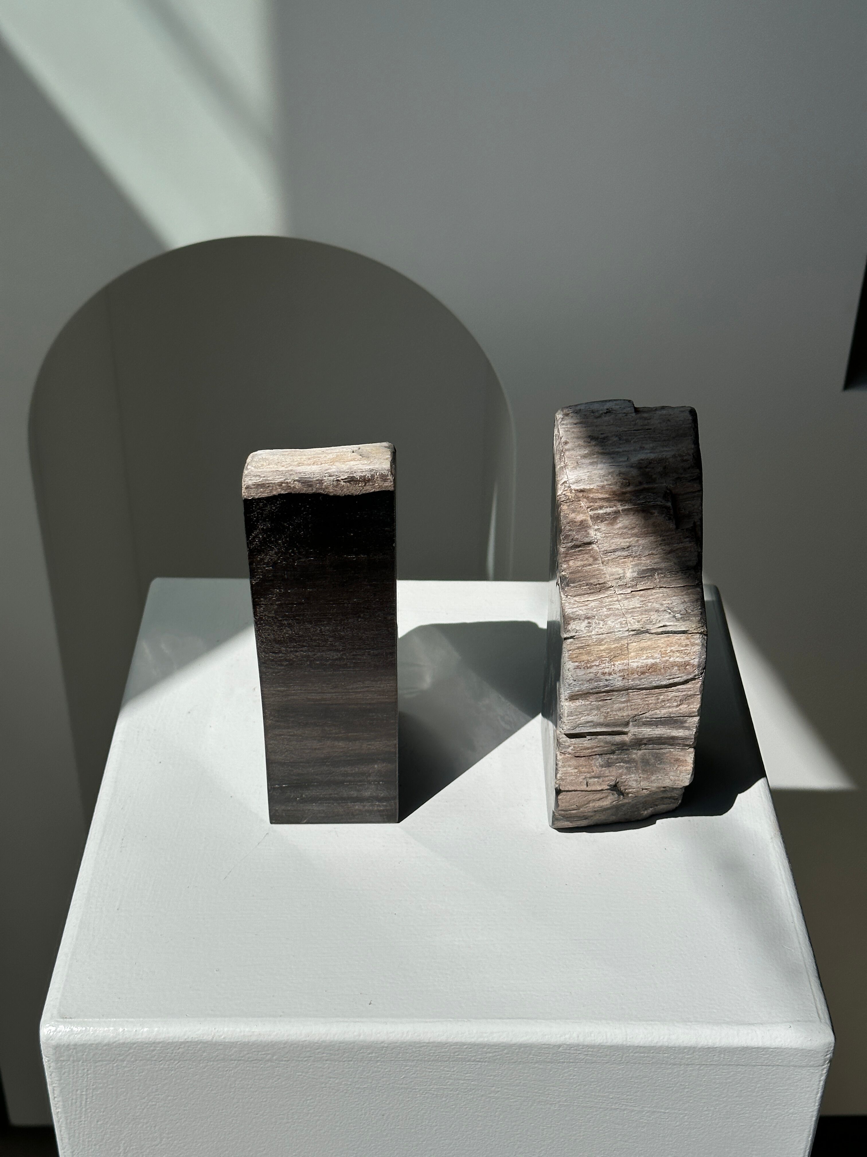 Black petrified wood bookend H17 L17 P6