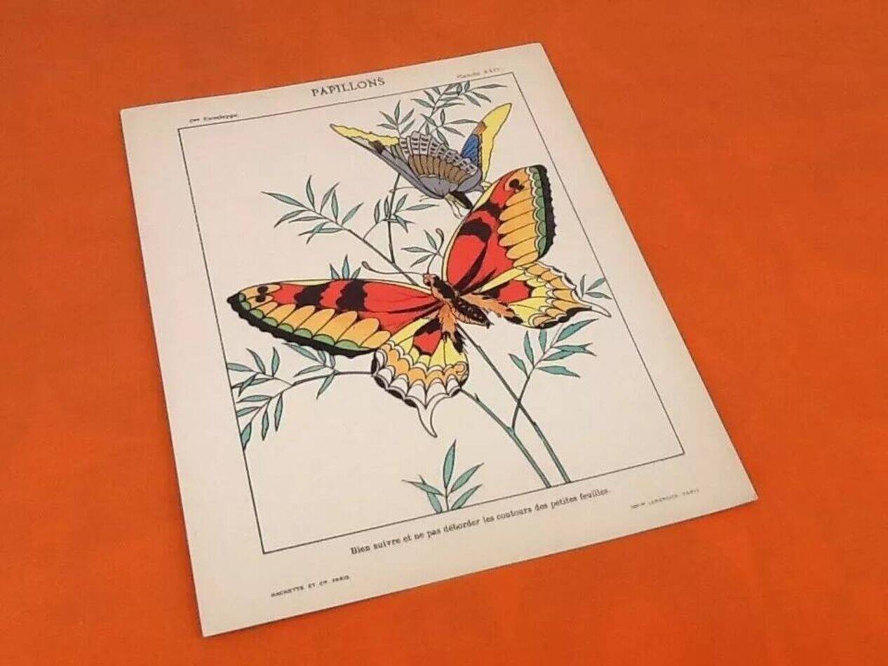 4 affiches Oiseaux, Papillons, Nid