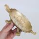 Vide Poche Tortue Laiton Vintage Hollywood Regency