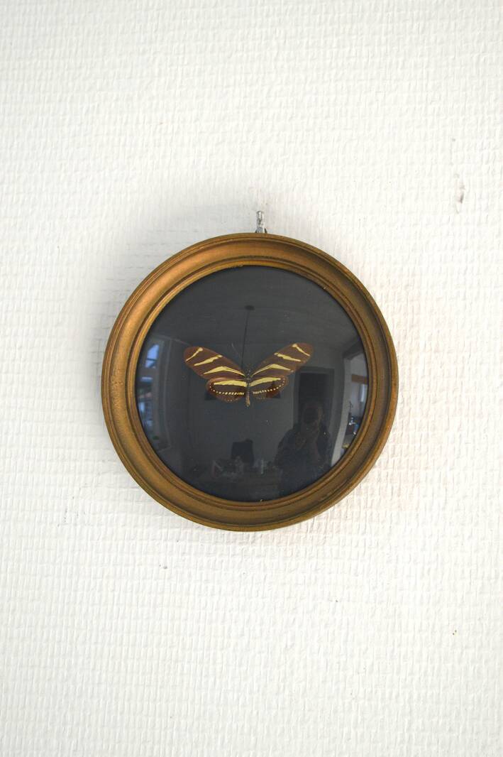 Butterfly frame under curved glass