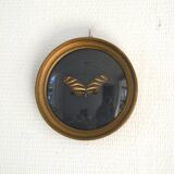 Butterfly frame under curved glass