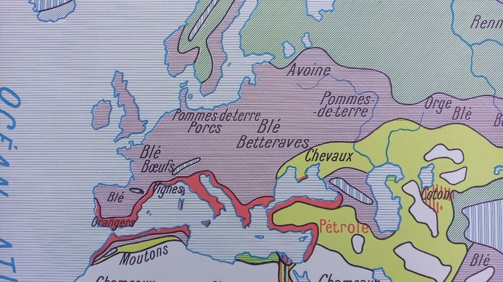 School poster wall map rossignol montmorillon le monde vegetation 1-2