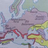 School poster wall map rossignol montmorillon le monde vegetation 1-2