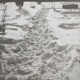 Vintage silver print of a snowy landscape with a dog, framed 32x39 cm.