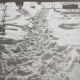 Vintage silver print of a snowy landscape with a dog, framed 32x39 cm.