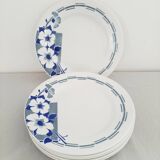 Lot de 6 assiettes plates anciennes Céranord  St Amand modèle LUGANO