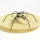 Extremely rare large round Mid Century Modern fiberglass ceiling lamp | Ø 5